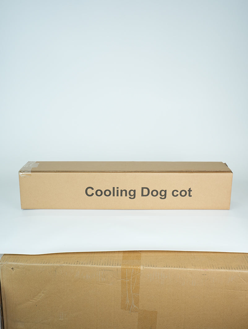 Temperature-controlled Pet camp bed