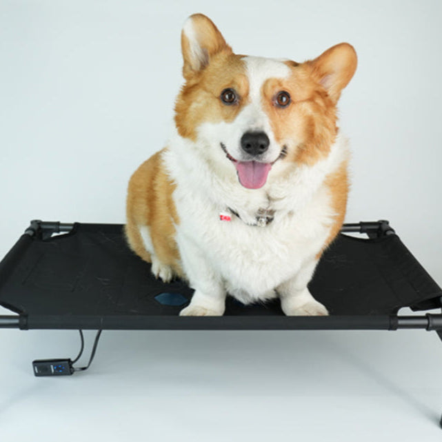Temperature-controlled Pet camp bed