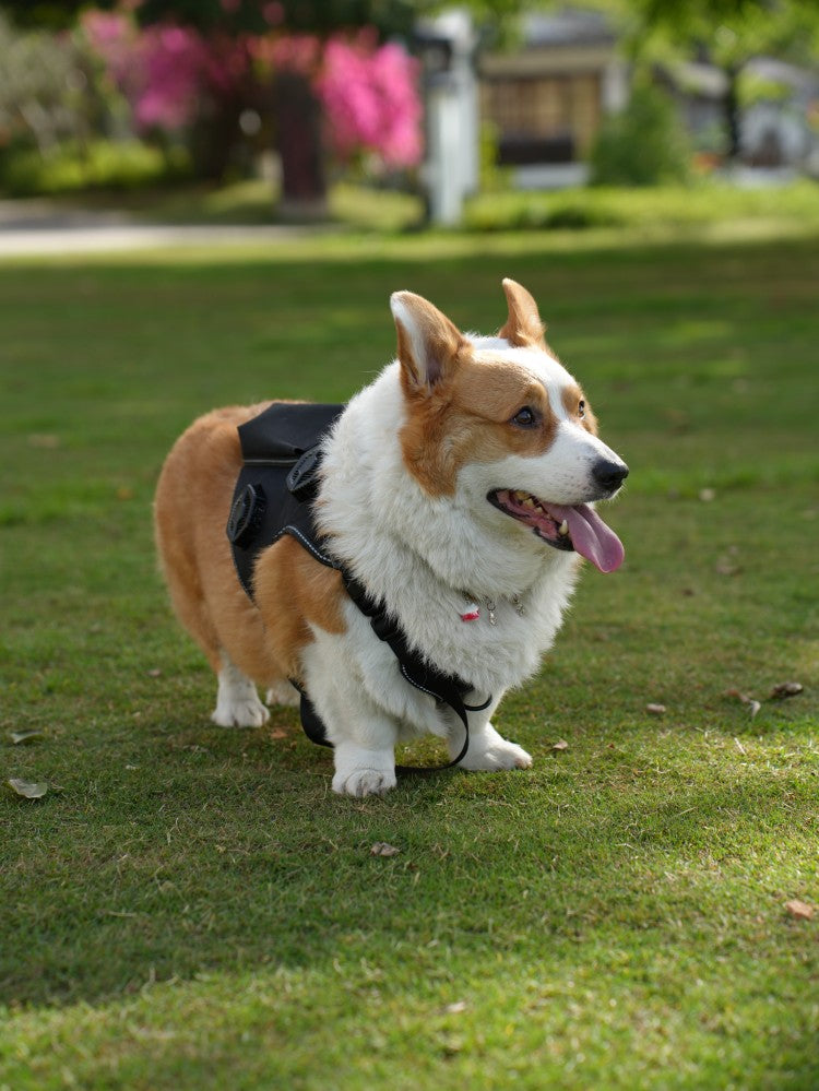 Pet Temperature Control Vest