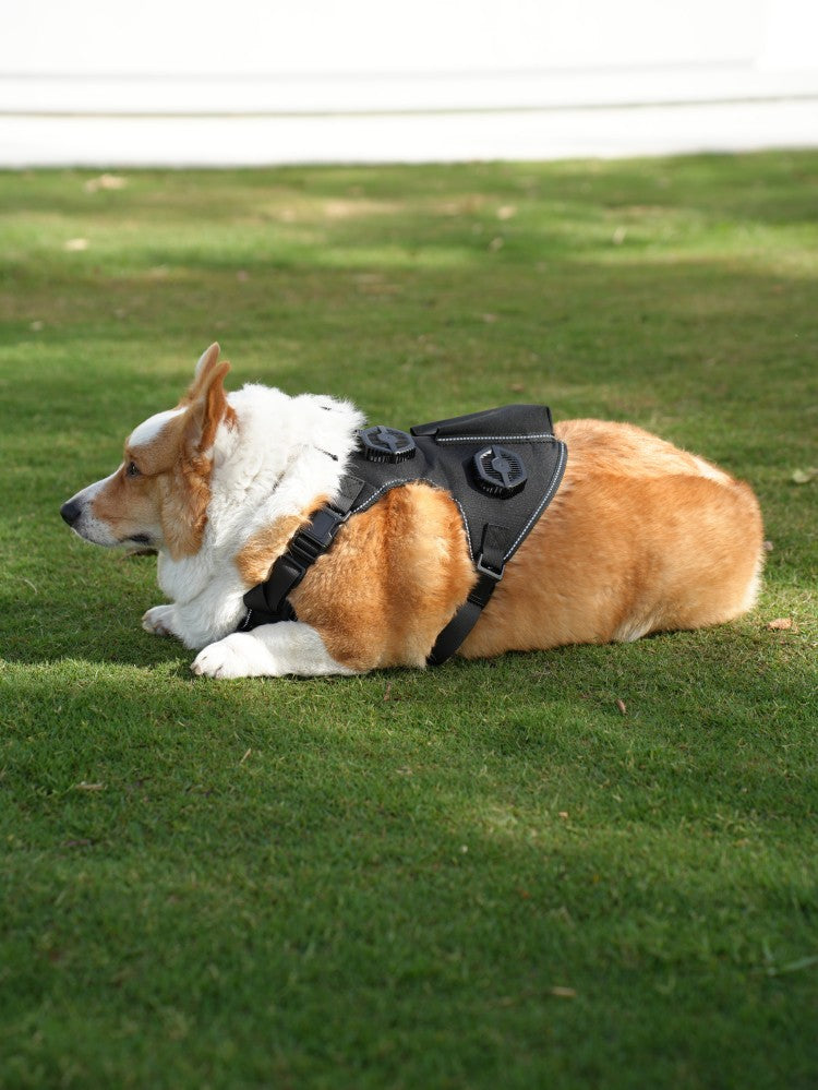 Pet Temperature Control Vest