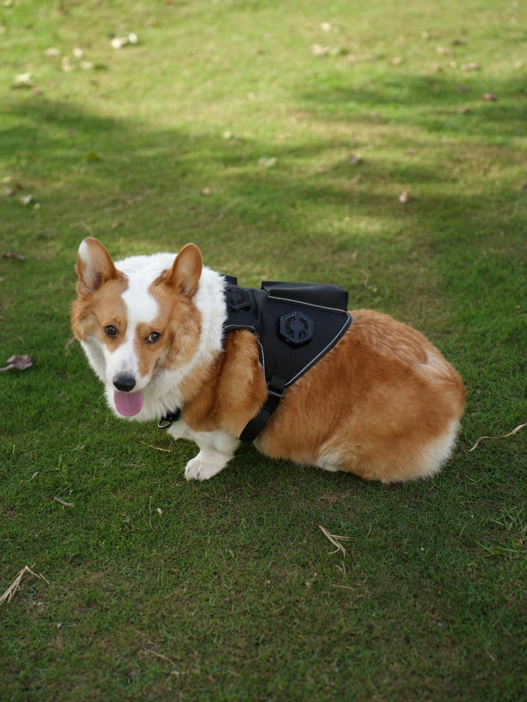 Pet Temperature Control Vest