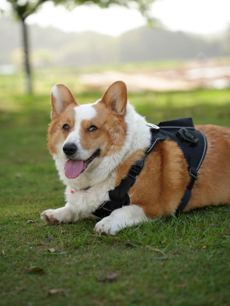Pet Temperature Control Vest