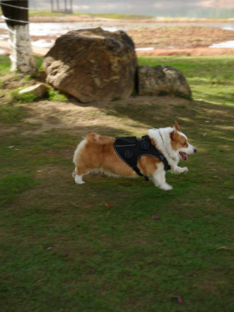 Pet Temperature Control Vest