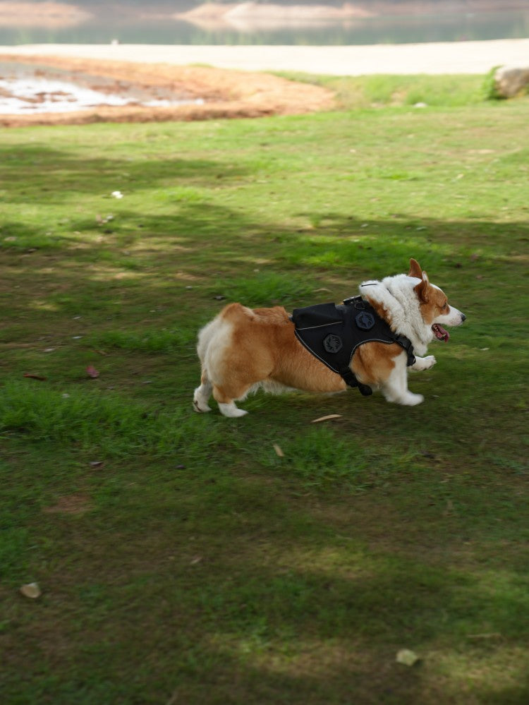Pet Temperature Control Vest
