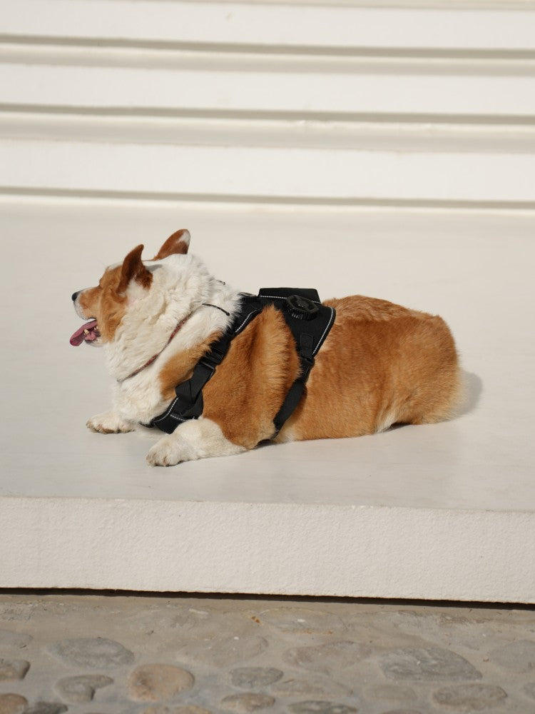 Pet Temperature Control Vest