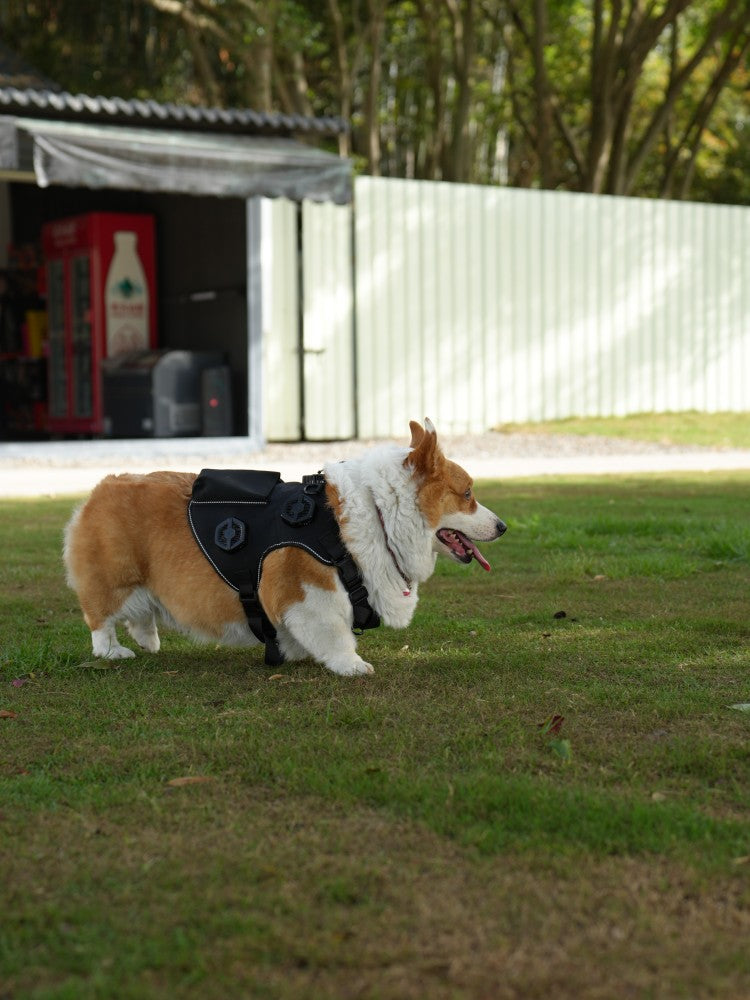 Pet Temperature Control Vest